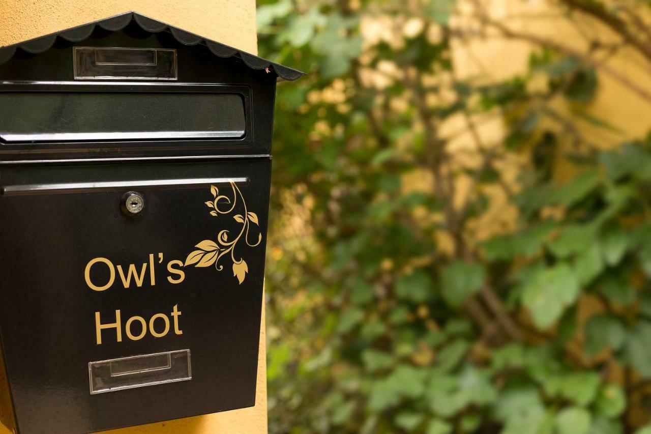 Owl'S Hoot Thorndon Exterior foto